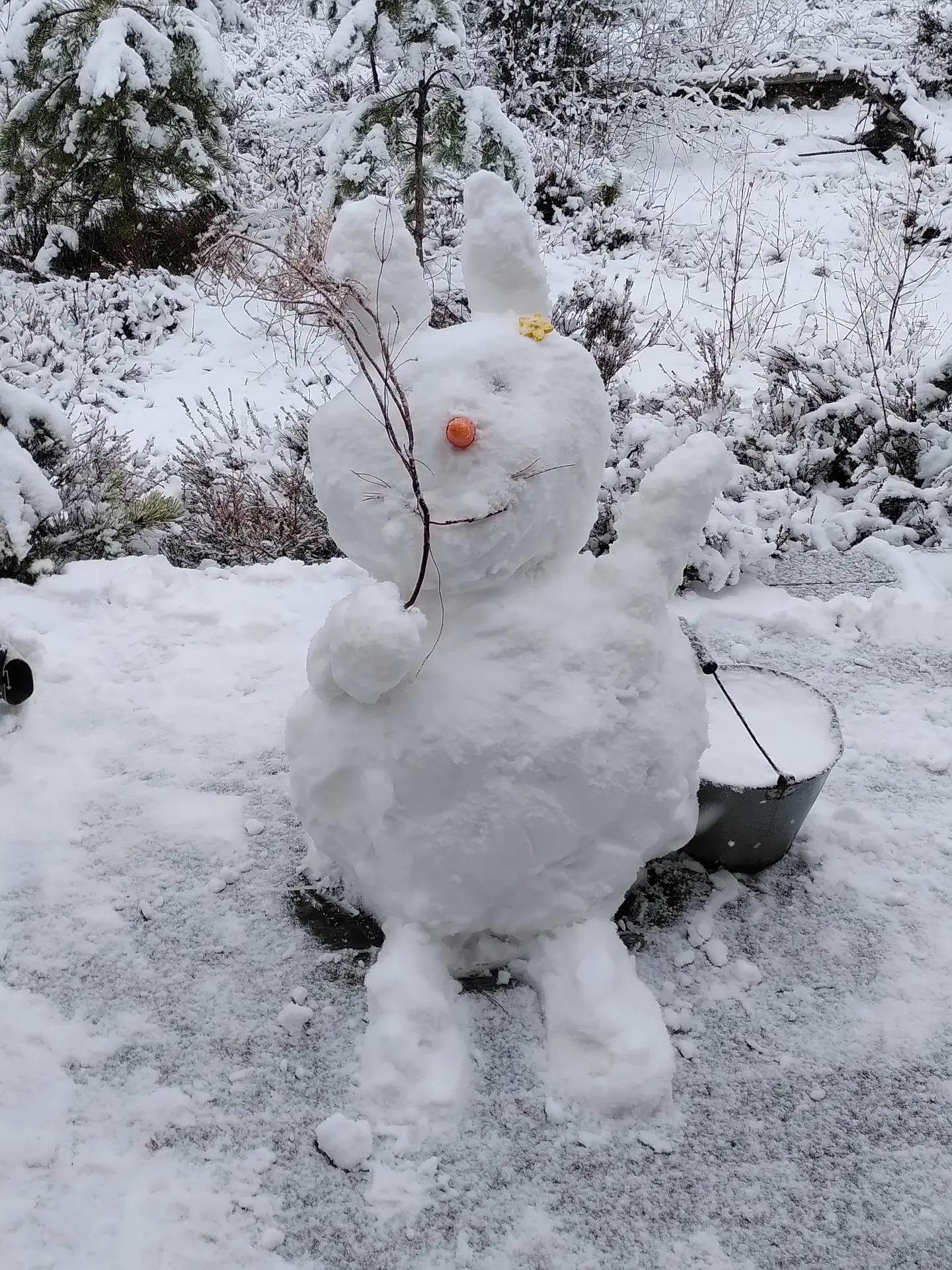 Schneehase auf dem Grundstück von SLAPPE AV im Winter