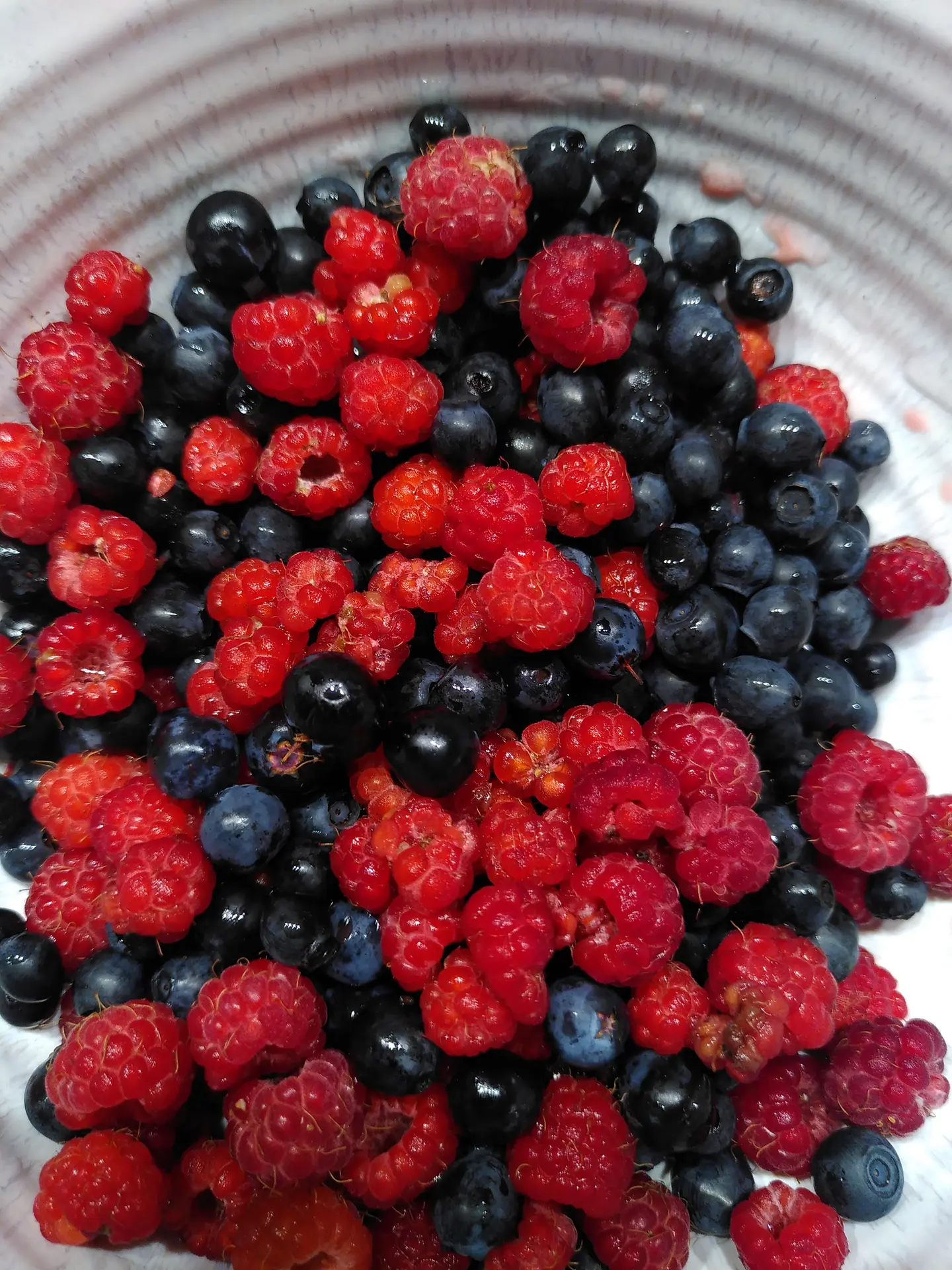 Frisch gesammelte Beeren aus den Wäldern um SLAPPE AV