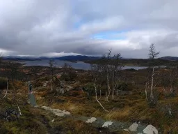 Skinnarbu plateau in Telemark